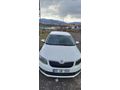 Sahibinden Skoda Octavia 1.6 TDI Elegance CR
