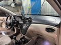 HATASIZ BOYASIZ FOCUS Ghia 2003 Model 