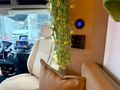 _OTOMONİ_ 4X4 SEMİ ENTEGRE KARAVAN İLE MACERAYA HAZIR MISINIZ?