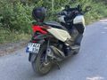 ÖZKANLAR'dan 2024 HONDA FORZA 250