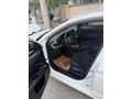 Sahibinden Fiat Egea 1.3 Multijet Easy 2017 Model 