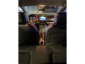 Sahibinden Renault Clio 1.5 dCi Joy 2013 Model 