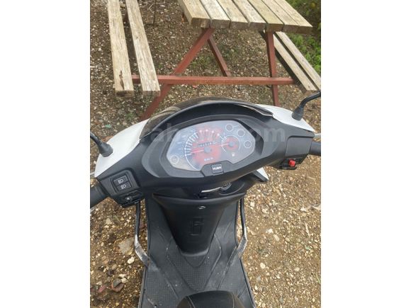 Sahibinden Kuba Valentino 50 