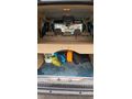 Sahibinden Ford Tourneo Connect 110PS 2012 Model