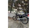 Sahibinden Zelsun ZLS 50 Rex 