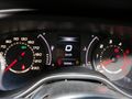 ORJİNAL 195 BİNDE 1.3 MULTİJET EGEA