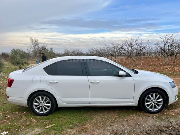 Sahibinden Skoda Octavia 1.6 TDI Elegance CR 2014 Model 