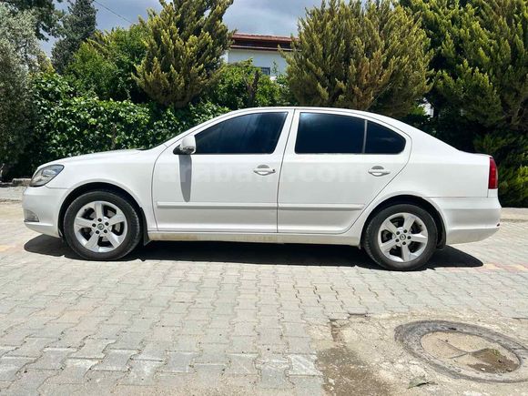Sahibinden Skoda Octavia 1.6 TDI Elegance CR 2011 Model 