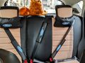 Sahibinden Ford Fiesta 1.25 Trend X 2015 Model 