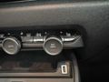 YAZICILAR'DAN C4 MAX K.ISITMA/HEAD UP/DİREKSYON ISTMA/CAM TAVAN
