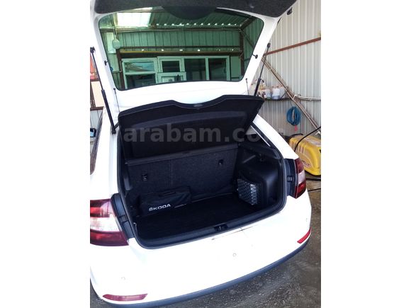 Sahibinden Skoda Rapid 1.6 CR TDI Spaceback Elegance 2015 Model