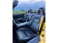 ORJİNAL SARI EMSALSİZ S 2000