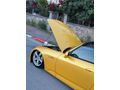 ORJİNAL SARI EMSALSİZ S 2000
