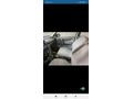 Sahibinden Opel Corsa 1.4 Swing 1994 Model