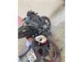 *UYGUNA BENELLİ 125S HAZIR KURULU*