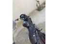 *UYGUNA BENELLİ 125S HAZIR KURULU*