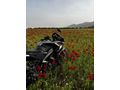 Sahibinden Bajaj Pulsar 200 RS 