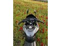 Sahibinden Bajaj Pulsar 200 RS 