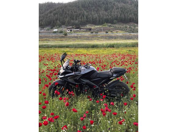 Sahibinden Bajaj Pulsar 200 RS 