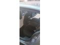 Sahibinden Renault Megane 1.6 Authentique 2004 Model
