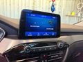 Sahibinden Ford Kuga 1.5 EcoBlue Titanium 2020 Model 