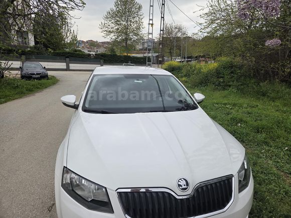 Sahibinden Skoda Octavia 1.6 TDI Optimal 2015 Model