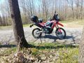 Sahibinden Honda CRF 250 Rally