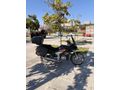 Sahibinden Honda CBF 150 