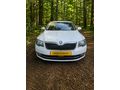 Galeriden Skoda SuperB 1.6 TDI Prestige 2013 Model İstanbul