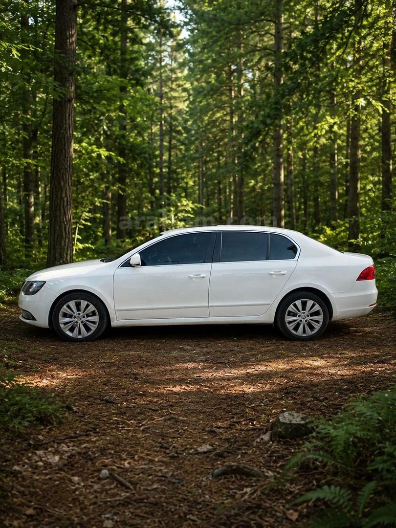 Galeriden Skoda SuperB 1.6 TDI Prestige 2013 Model İstanbul 163.463 km Beyaz 2