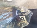 SAMSUN YAMAHA BAYİİ 2022 ÇIKIŞLI 