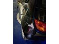 Sahibinden Ford Ka 1.3 1998 Model 
