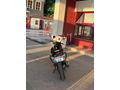 Sahibinden Mondial 125 Drift L CBS