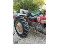 MF 135'lik 1978 Model Hid Direksiyon Full Orijinal Tertemiz