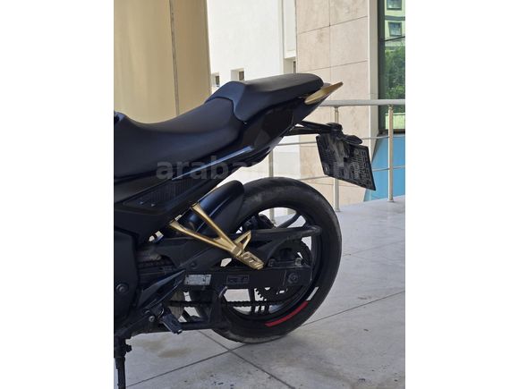 Pulsar N 250