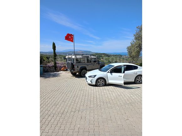 Sahibinden Ford Focus 1.5 TDCi Trend X 2019 Model