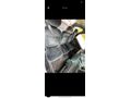 Sahibinden Renault Scenic 2.0 RXT 1998 Model