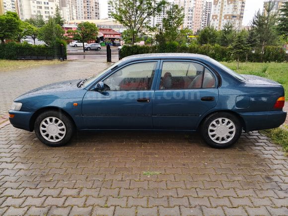 KASKOLU 254 BİNDE