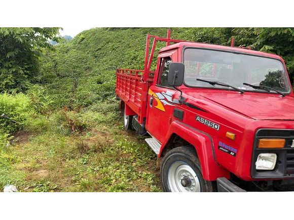 Sahibinden Dodge AS 250 