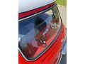 1977 full restorasyon Austin mini 