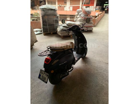 Wing 50 2026-250KM
