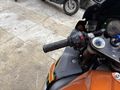 -KARADENİZDE TEK-