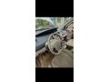Sahibinden Renault Scenic 1.5 dCi Privilege 2008 Model 