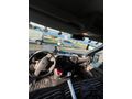 Sahibinden Renault Master 2.3 dCi 13 m3 2014 Model