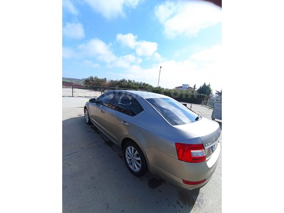 Sahibinden Skoda Octavia 1.2 TSI Elegance 2014 Model Tekirdağ Bej