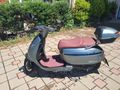 Sahibinden Falcon Martini 50/80