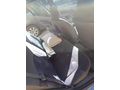 Sahibinden Renault Clio 1.6 RTE 2000 Model