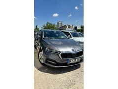 Sahibinden Skoda Octavia 1.0 e-Tec Elite 2024 Model 