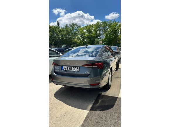 Sahibinden Skoda Octavia 1.0 e-Tec Elite 2024 Model 