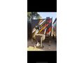 Neon karavan shop   Kocaeli